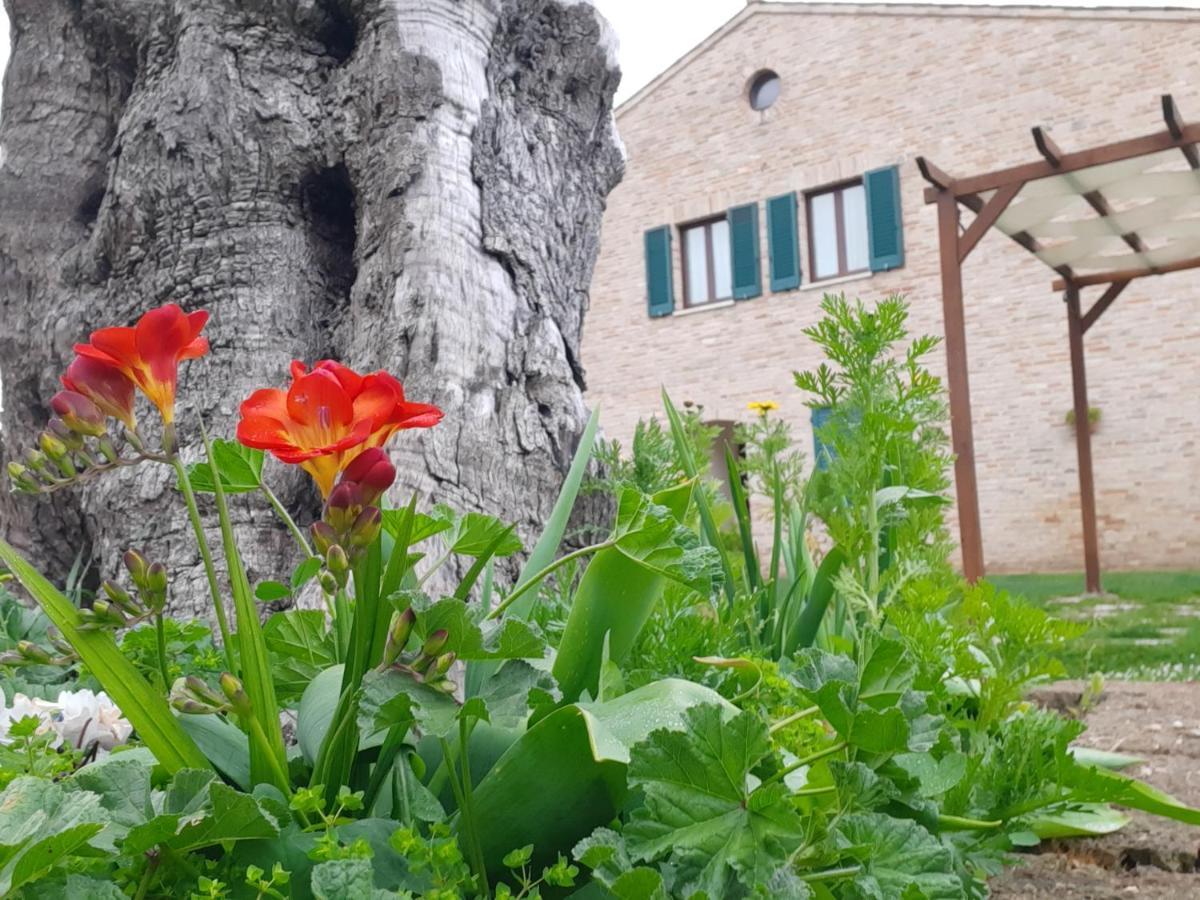 Casale Del Conero Aparthotel Porto Recanati Exterior foto